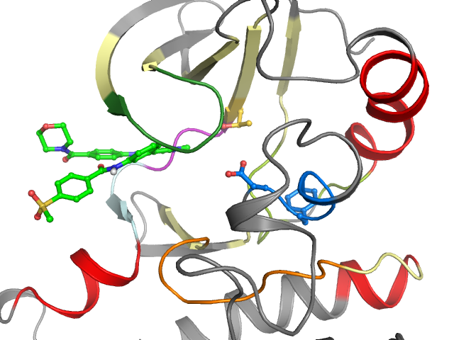 The orthosteric binding pocket
