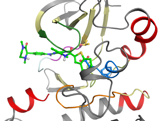 The orthosteric binding pocket