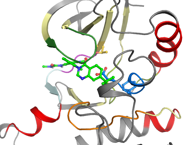The orthosteric binding pocket