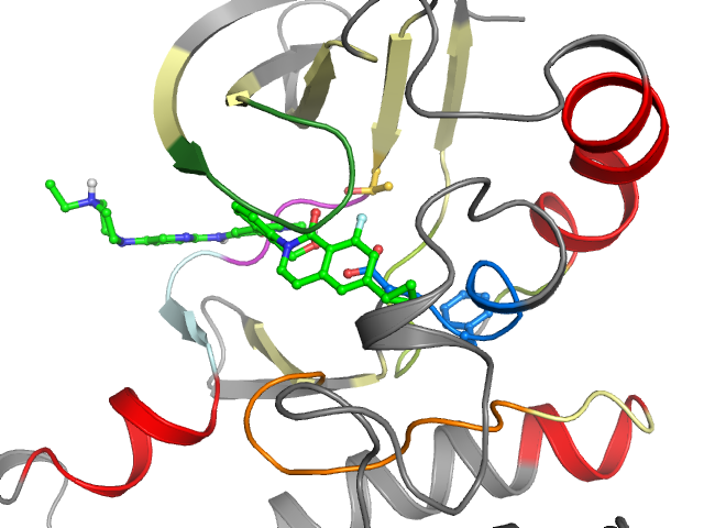 The orthosteric binding pocket