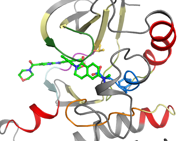 The orthosteric binding pocket