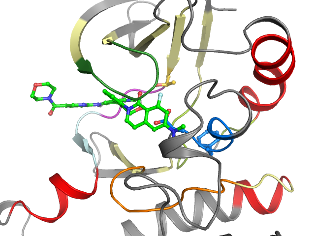 The orthosteric binding pocket