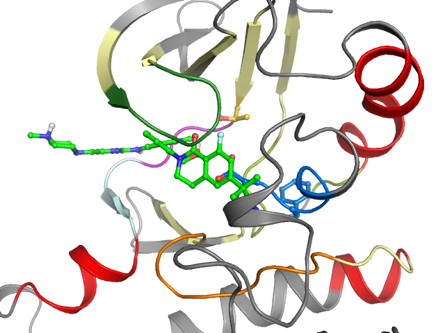 The orthosteric binding pocket