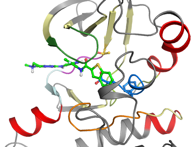 The orthosteric binding pocket