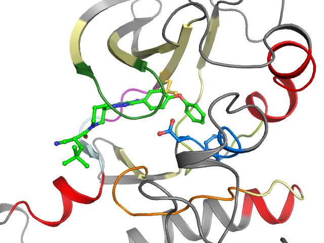 The orthosteric binding pocket
