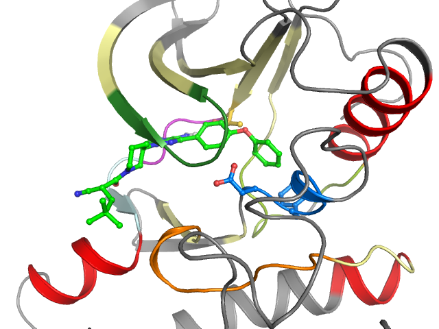 The orthosteric binding pocket