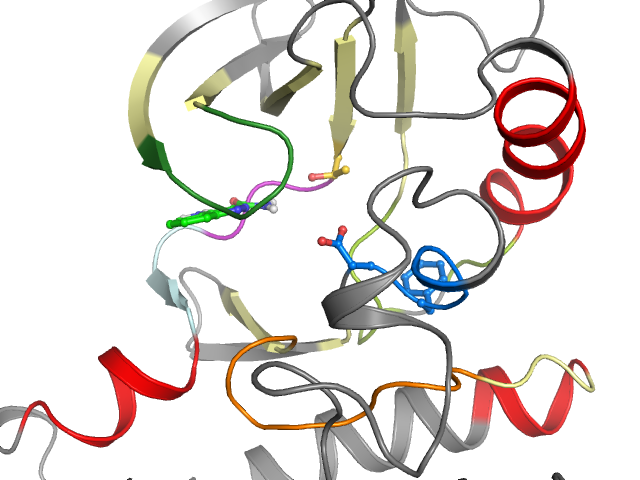 The orthosteric binding pocket