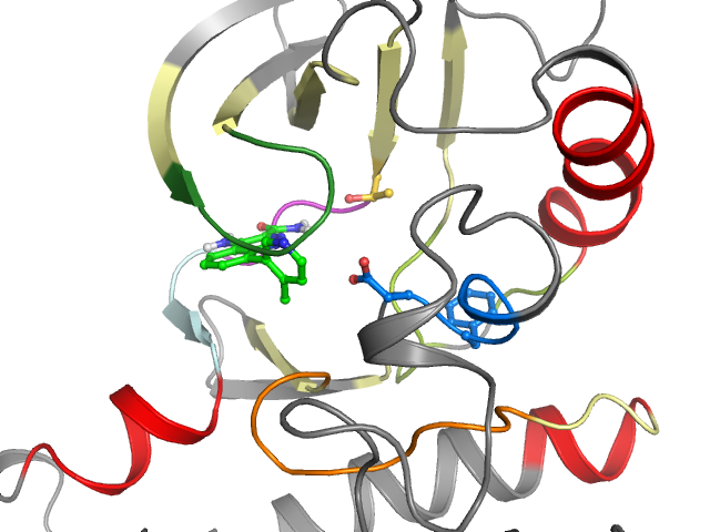 The orthosteric binding pocket