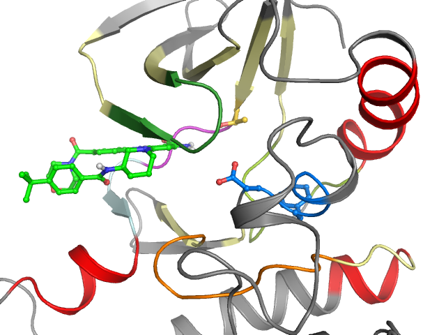 The orthosteric binding pocket