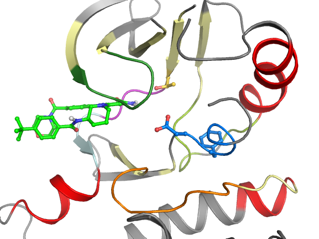 The orthosteric binding pocket