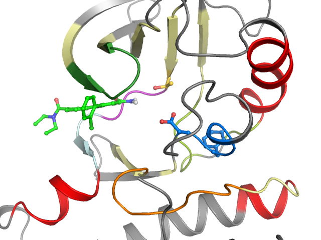 The orthosteric binding pocket
