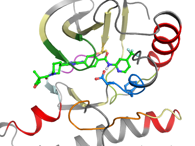 The orthosteric binding pocket