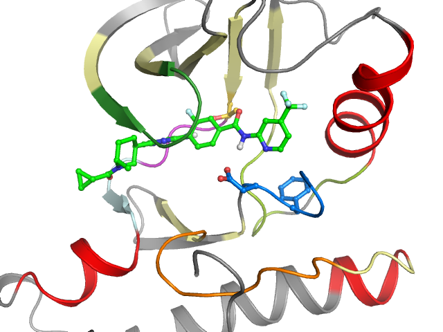 The orthosteric binding pocket