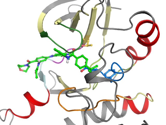 The orthosteric binding pocket