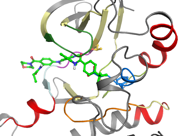 The orthosteric binding pocket