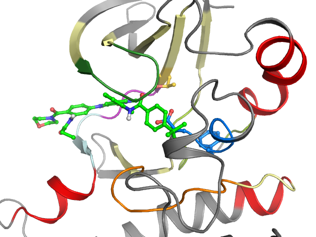 The orthosteric binding pocket