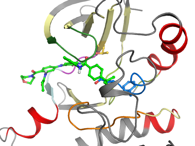The orthosteric binding pocket