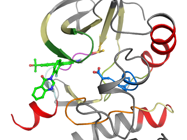 The orthosteric binding pocket