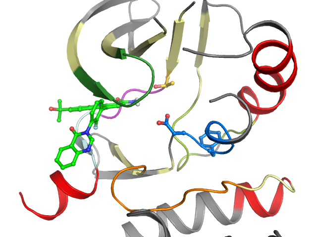The orthosteric binding pocket
