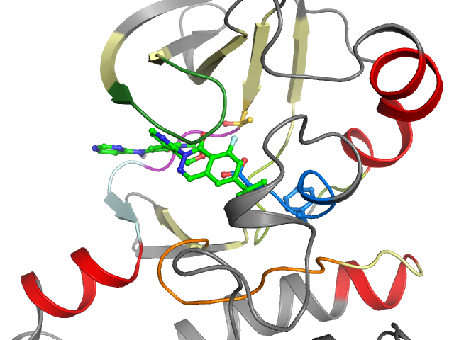 The orthosteric binding pocket