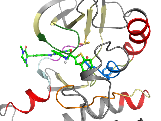 The orthosteric binding pocket