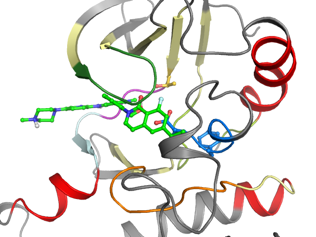 The orthosteric binding pocket