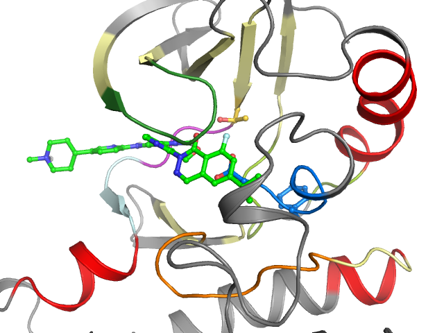 The orthosteric binding pocket