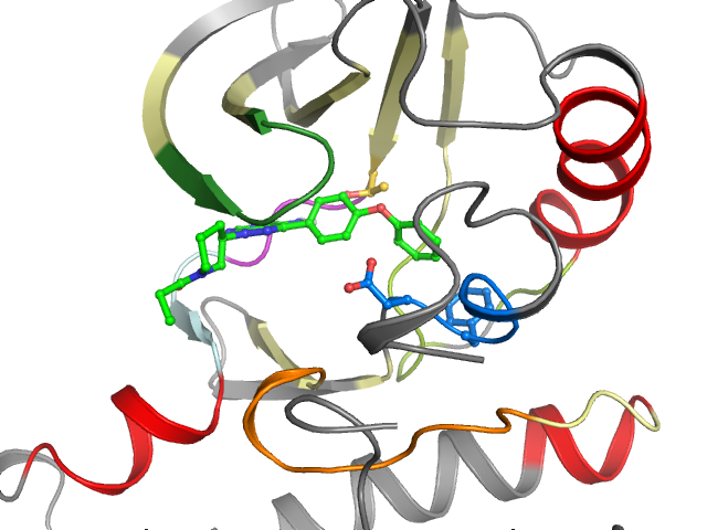 The orthosteric binding pocket