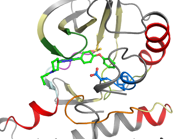 The orthosteric binding pocket