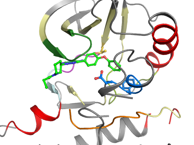 The orthosteric binding pocket