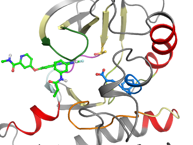 The orthosteric binding pocket