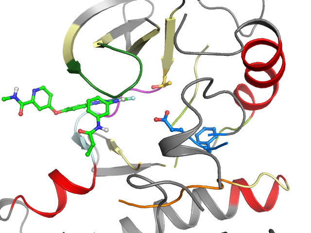 The orthosteric binding pocket