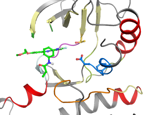 The orthosteric binding pocket