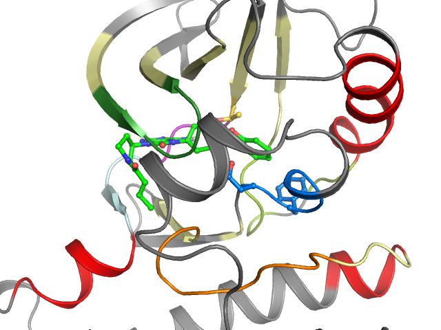 The orthosteric binding pocket