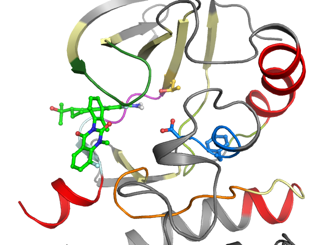 The orthosteric binding pocket