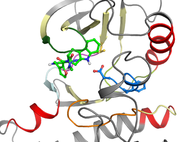 The orthosteric binding pocket