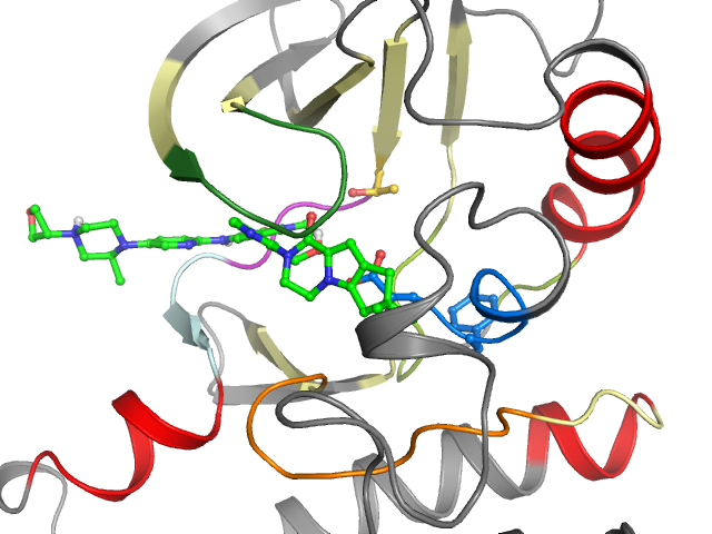 The orthosteric binding pocket