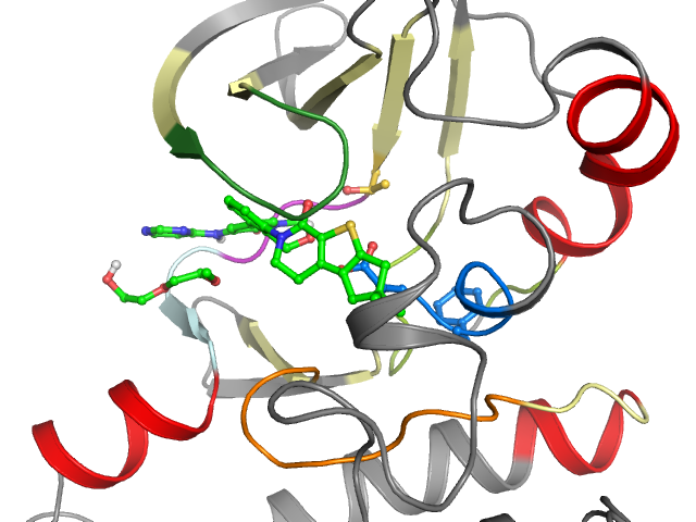 The orthosteric binding pocket
