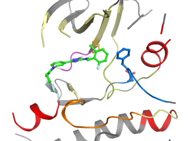 The orthosteric binding pocket