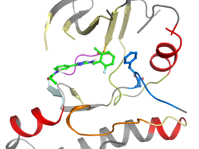 The orthosteric binding pocket