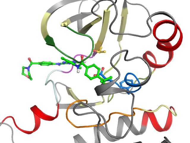 The orthosteric binding pocket