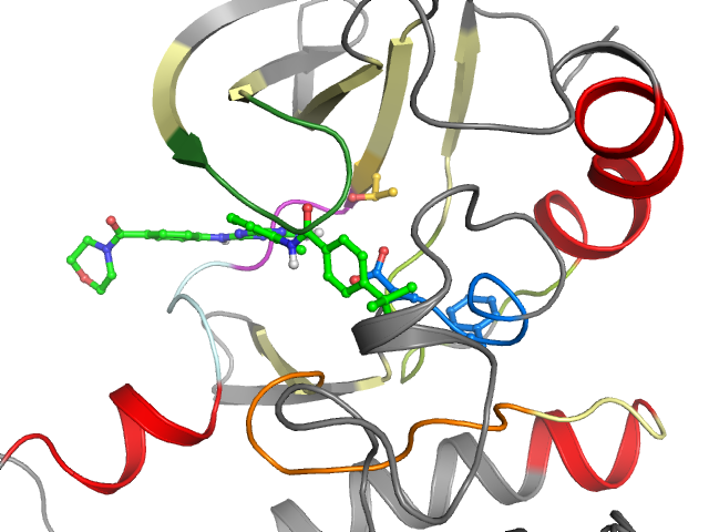 The orthosteric binding pocket