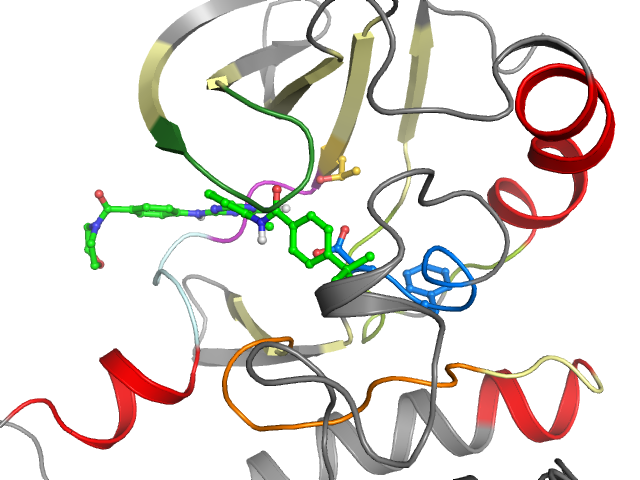 The orthosteric binding pocket