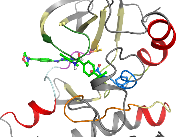 The orthosteric binding pocket