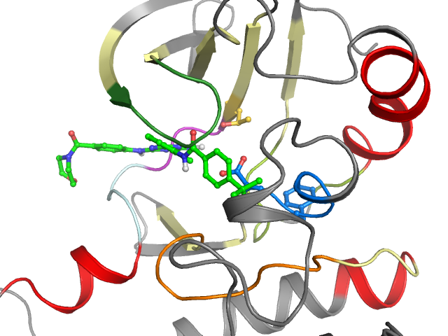 The orthosteric binding pocket