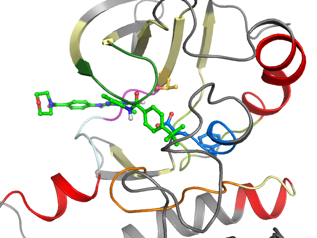 The orthosteric binding pocket