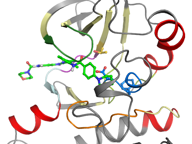 The orthosteric binding pocket