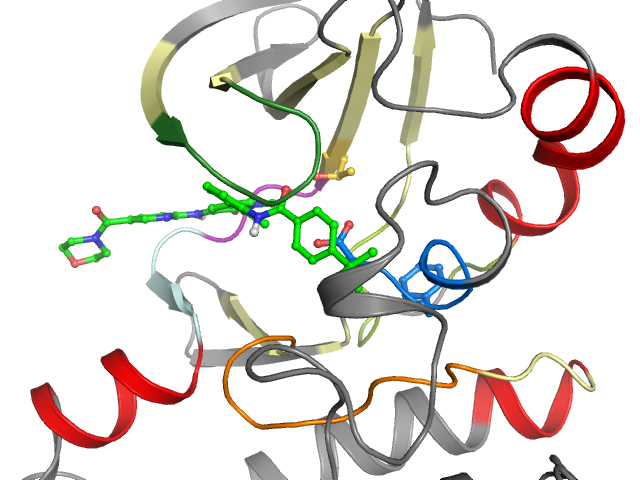 The orthosteric binding pocket