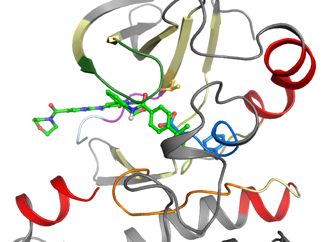 The orthosteric binding pocket
