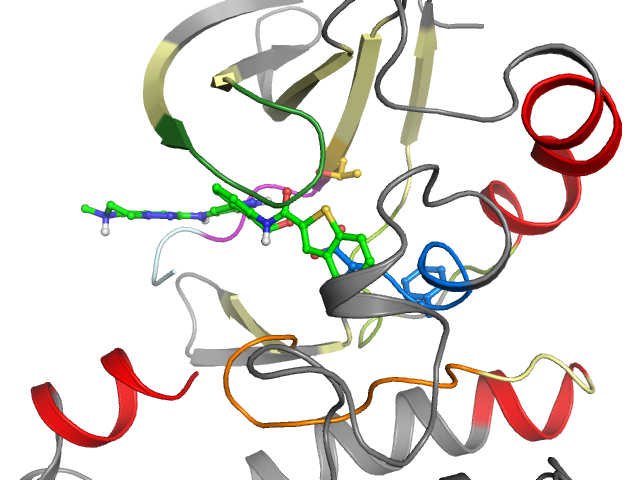 The orthosteric binding pocket